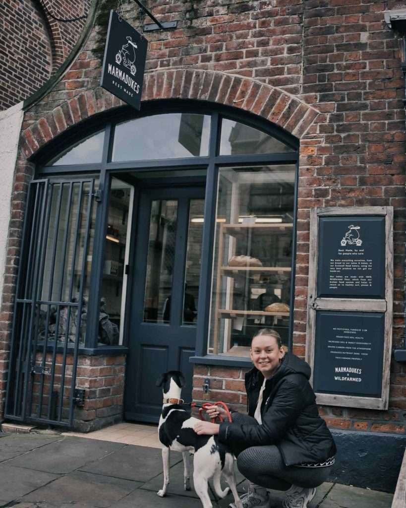 Sophie and Penny the Whippet from Unit Digital at Marmadukes in Sheffield