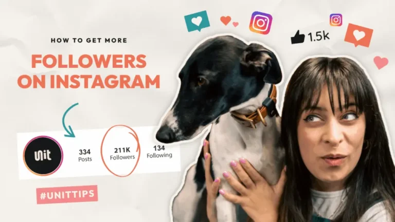 An image featuring Chloe holding a dog, with text about increasing Instagram followers, displaying follower statistics, and social media icons.