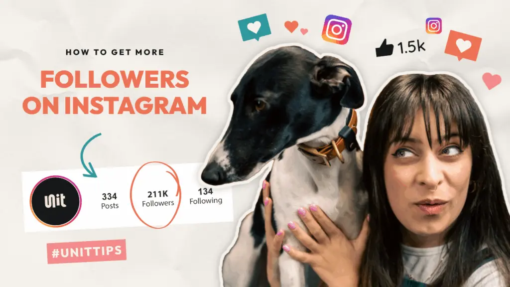 An image featuring Chloe holding a dog, with text about increasing Instagram followers, displaying follower statistics, and social media icons.